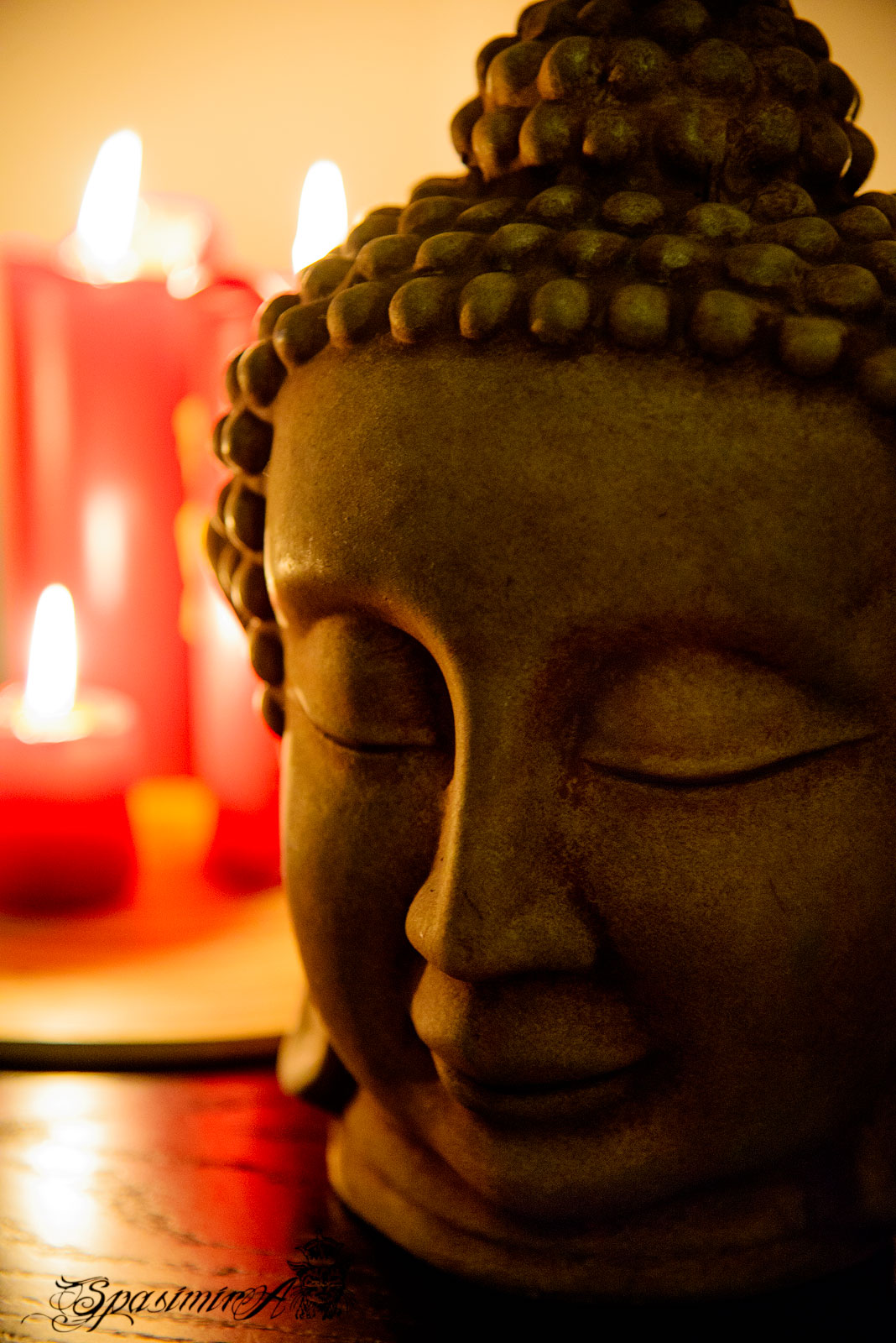 Image from STILL-LIFE album