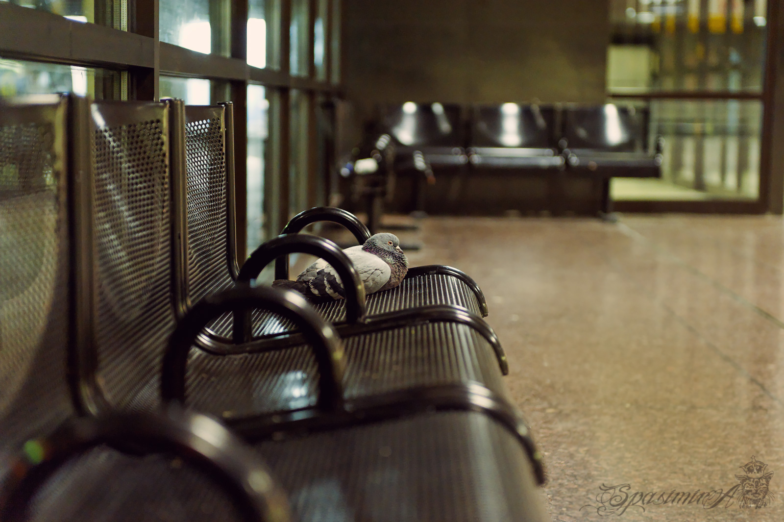 Image from CITIES album