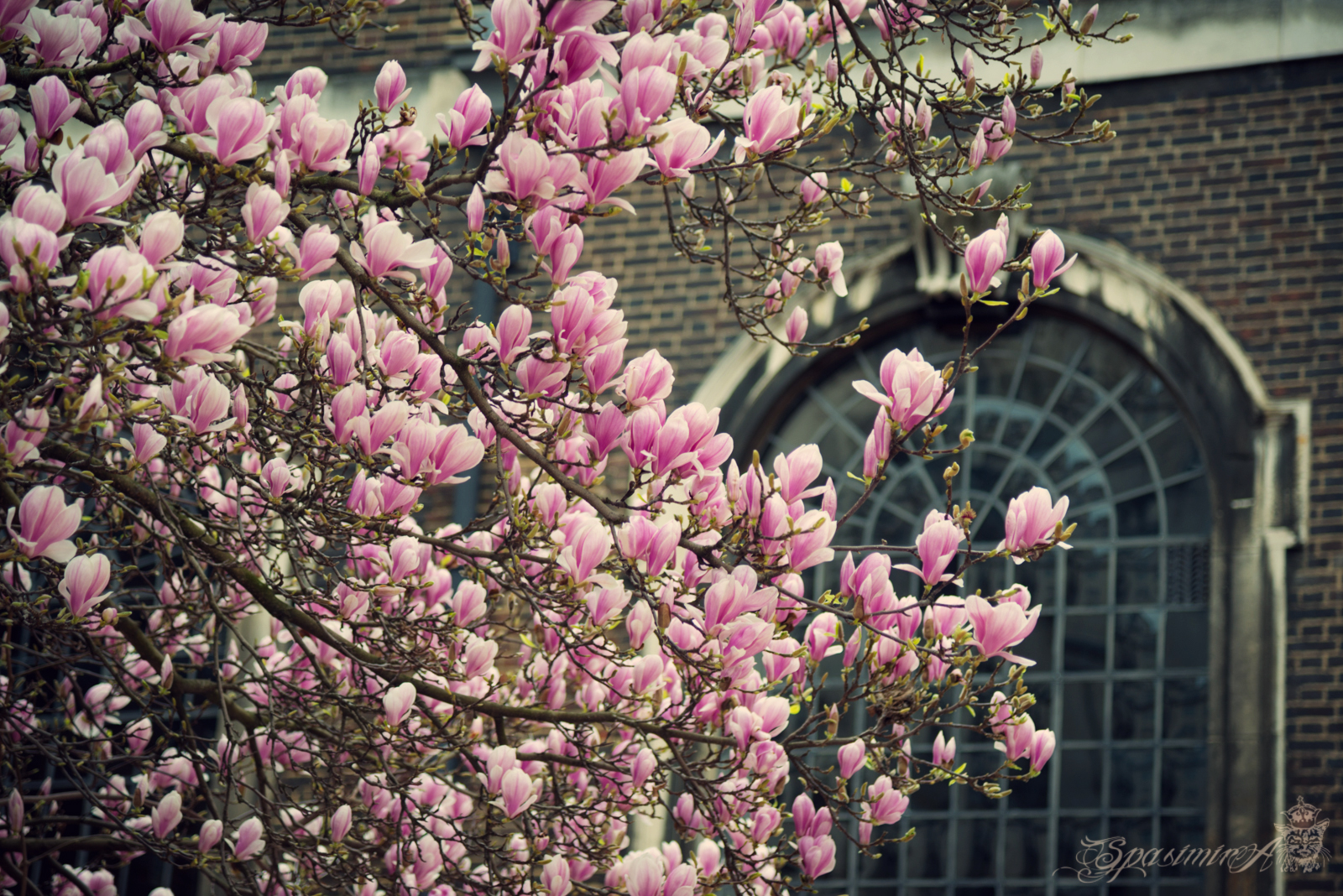 Image from WORLD album