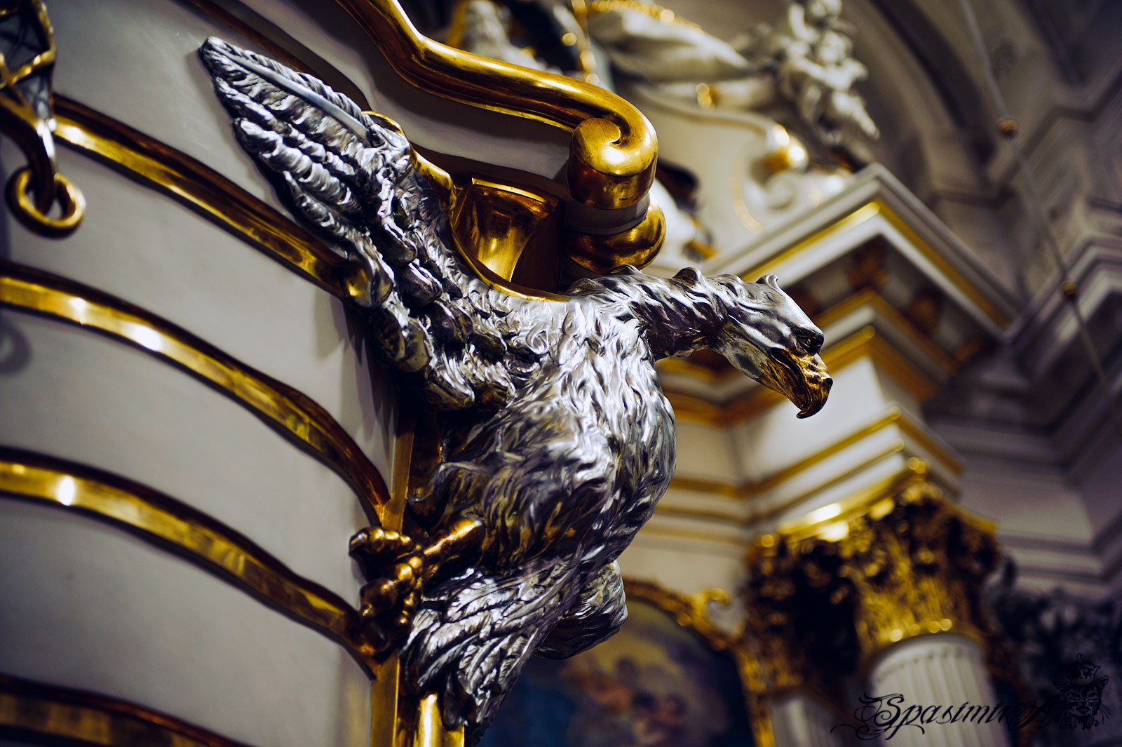 Image from STILL-LIFE album