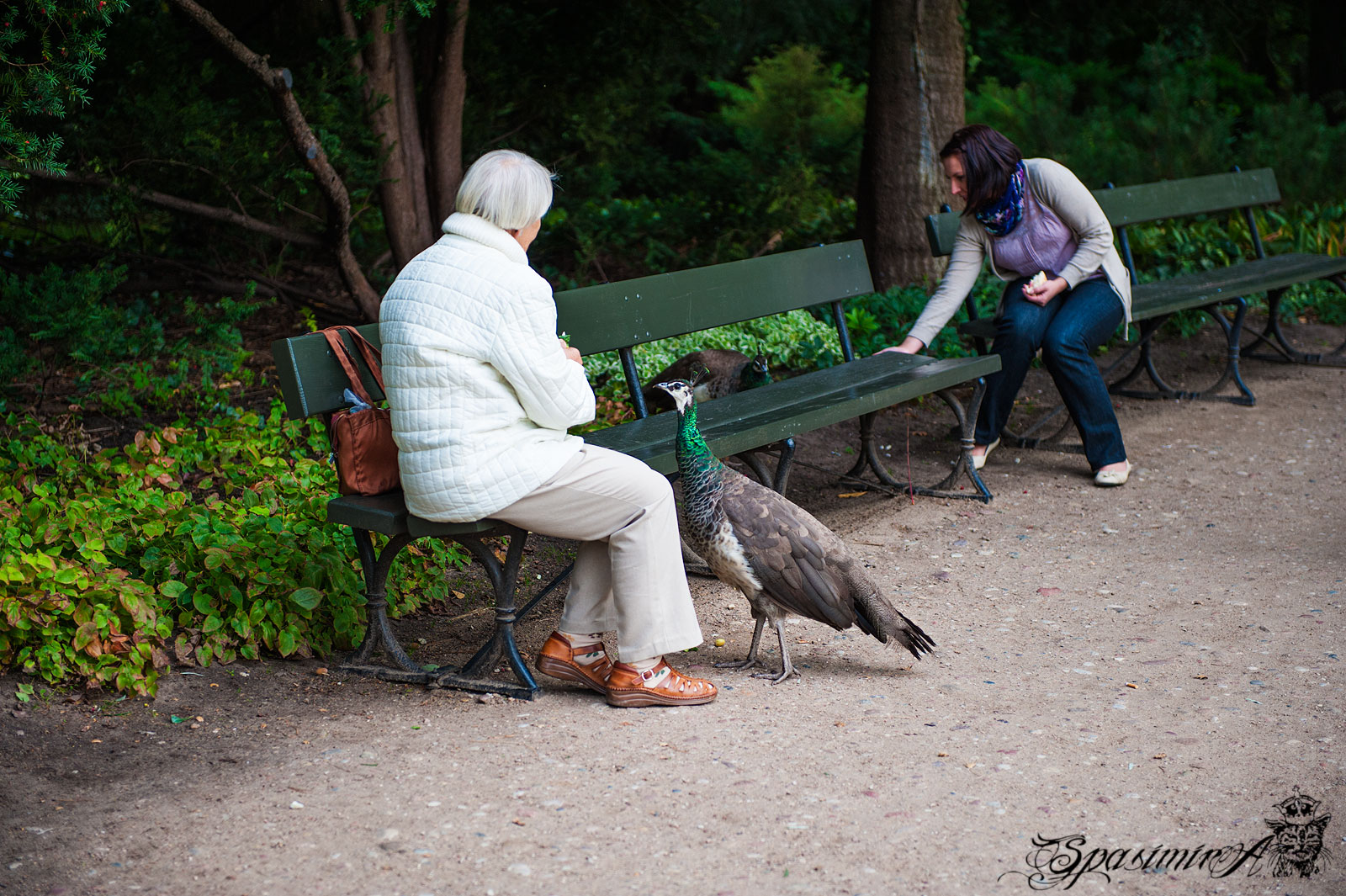 Image from PEOPLE album