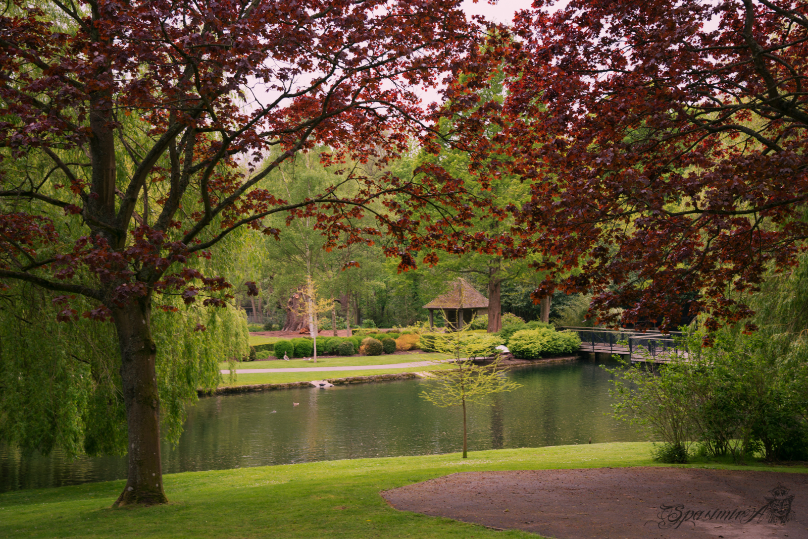 Image from WORLD album