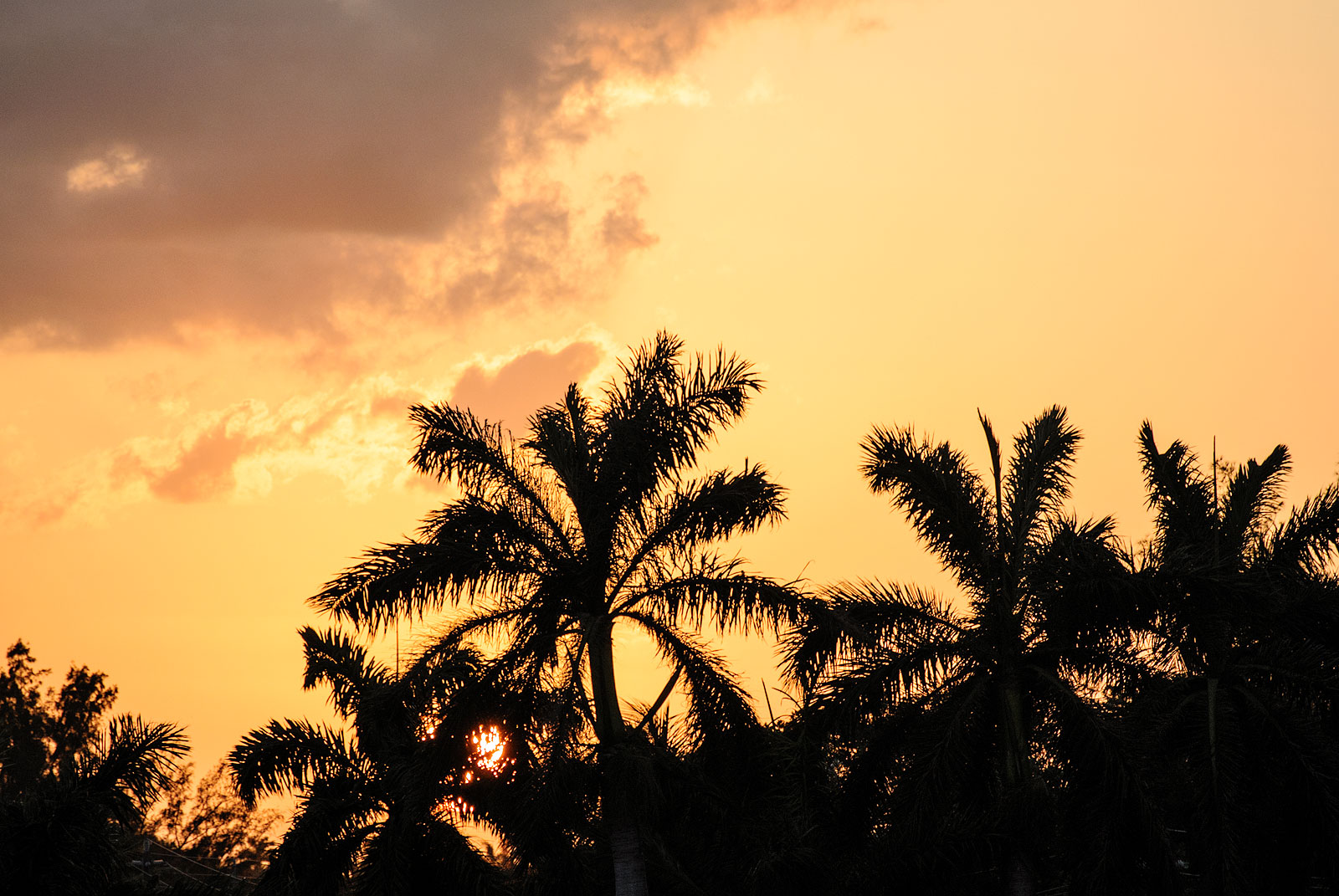 Image from WORLD album