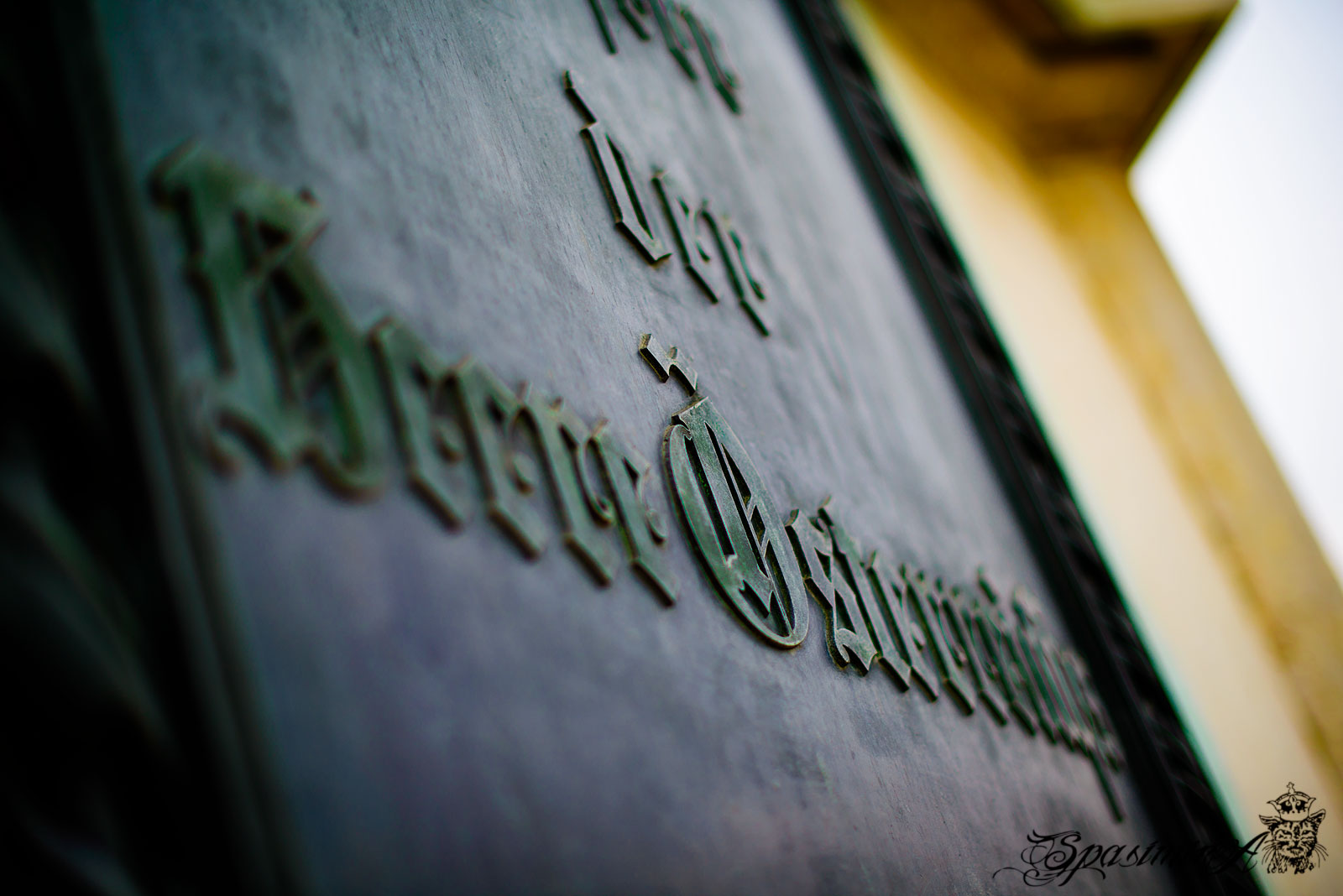 Image from STILL-LIFE album