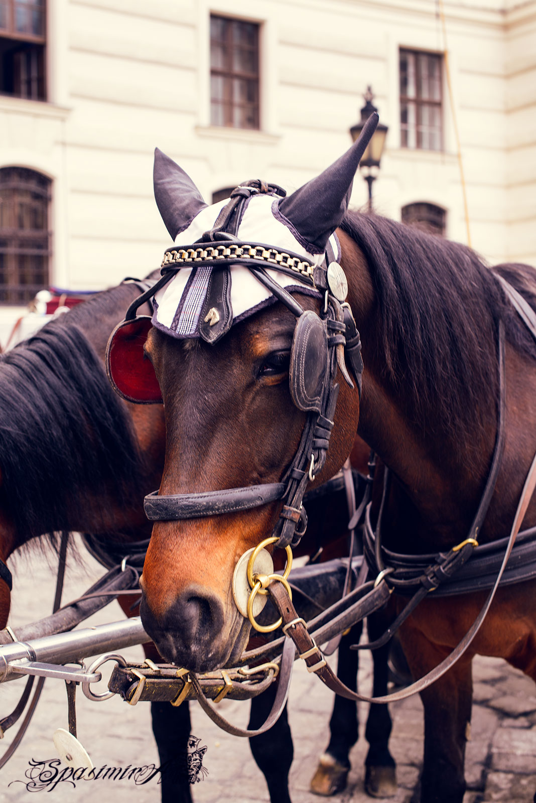 Image from CITIES album