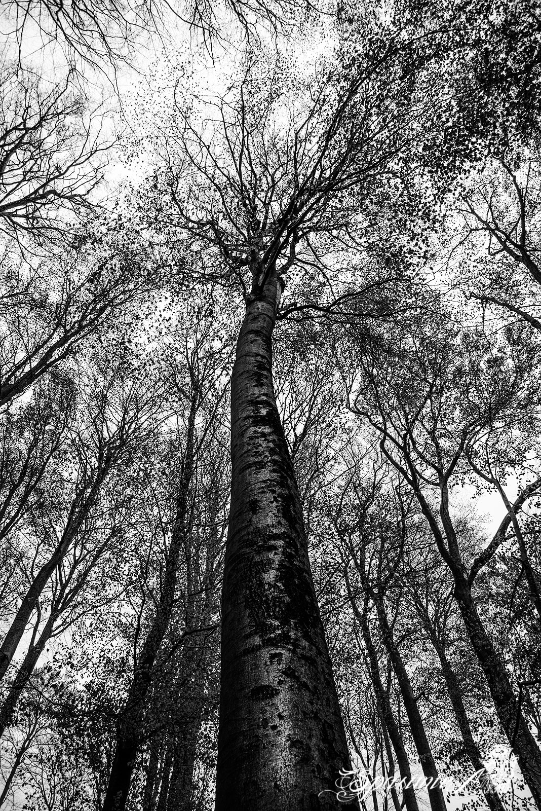 Image from WORLD album