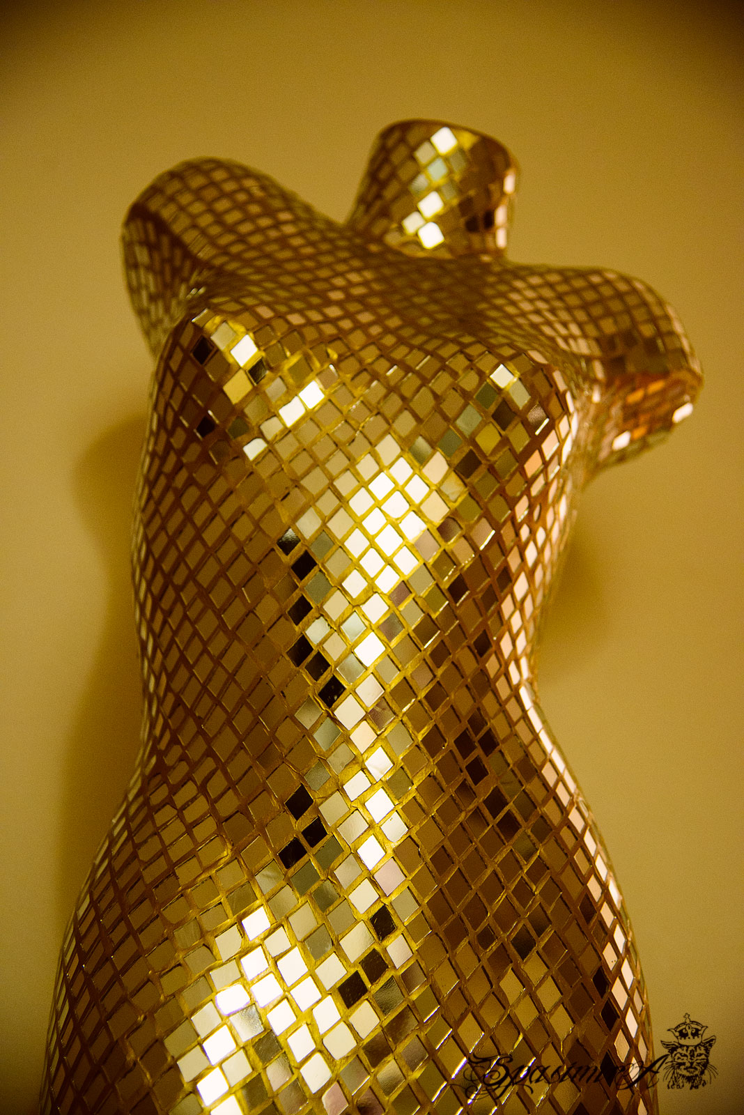 Image from FASHION album