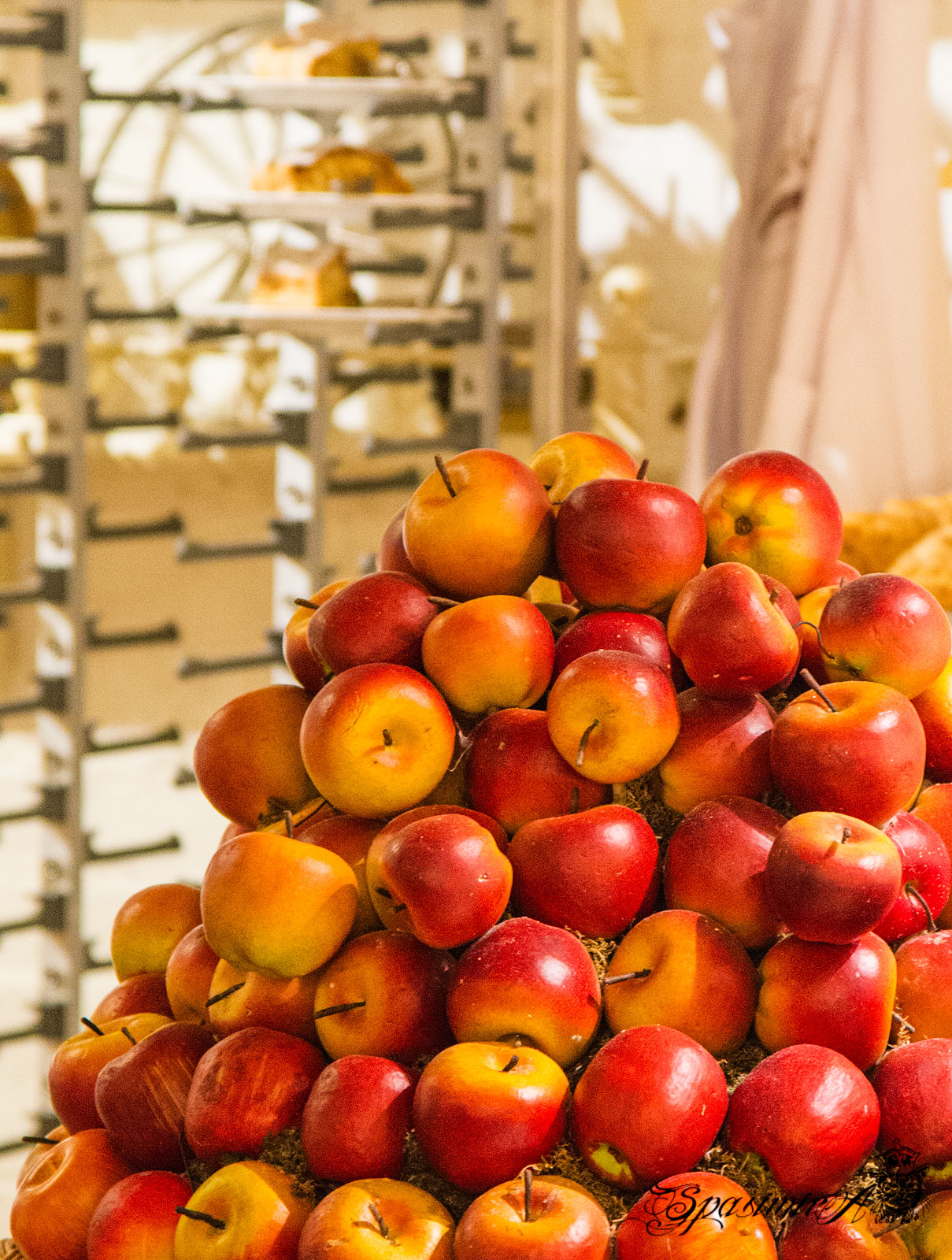 Image from STILL-LIFE album