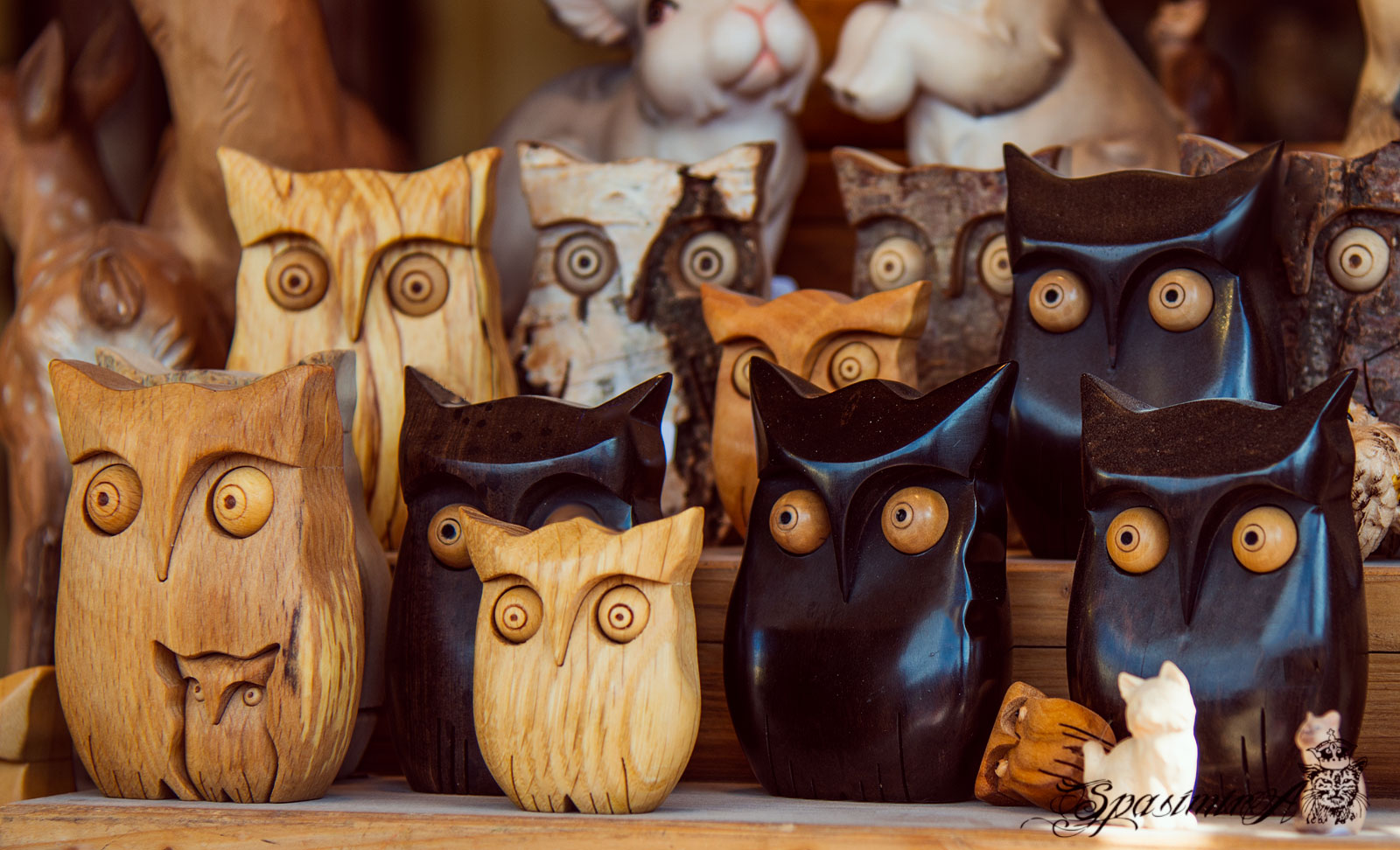 Image from STILL-LIFE album