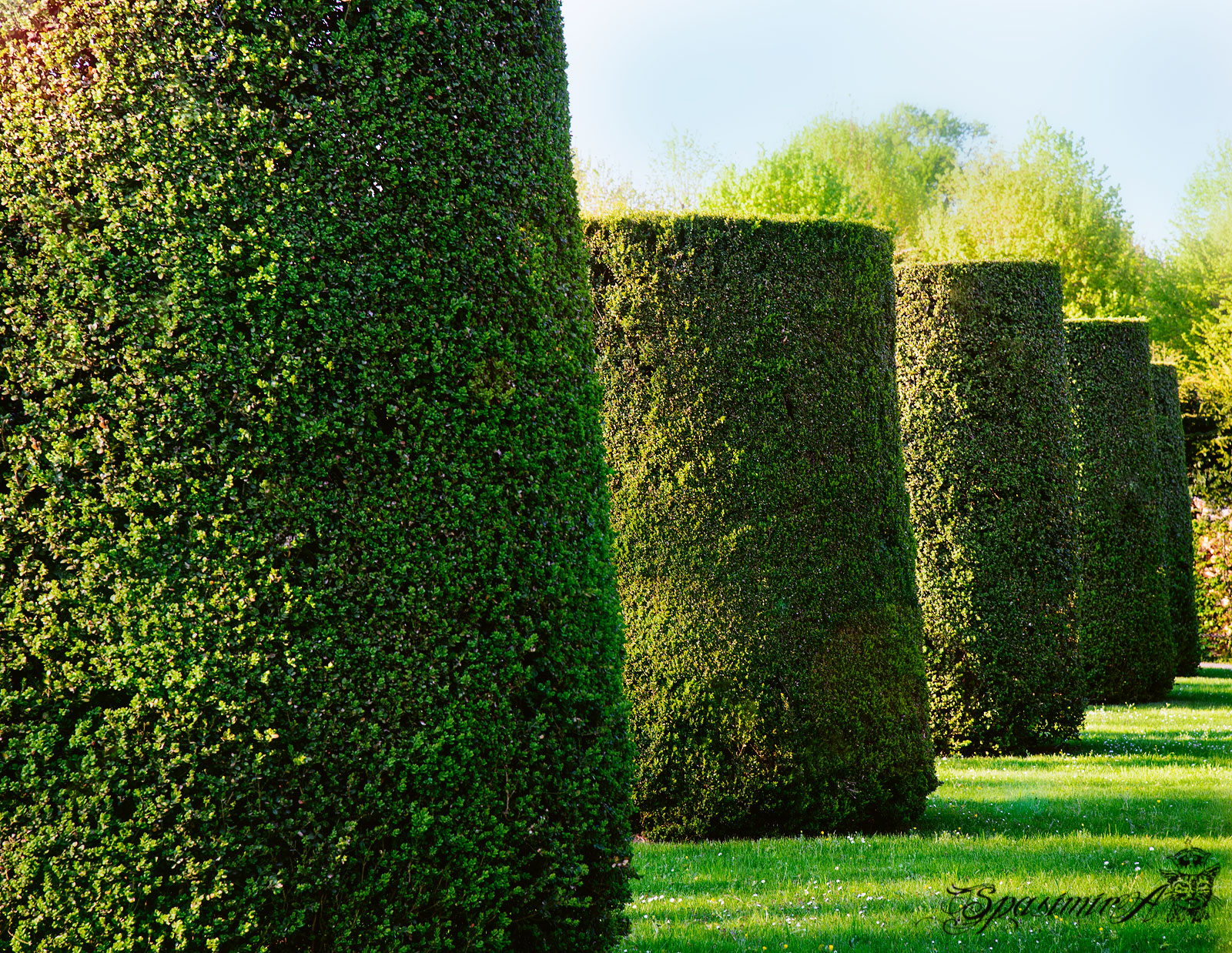 Image from WORLD album