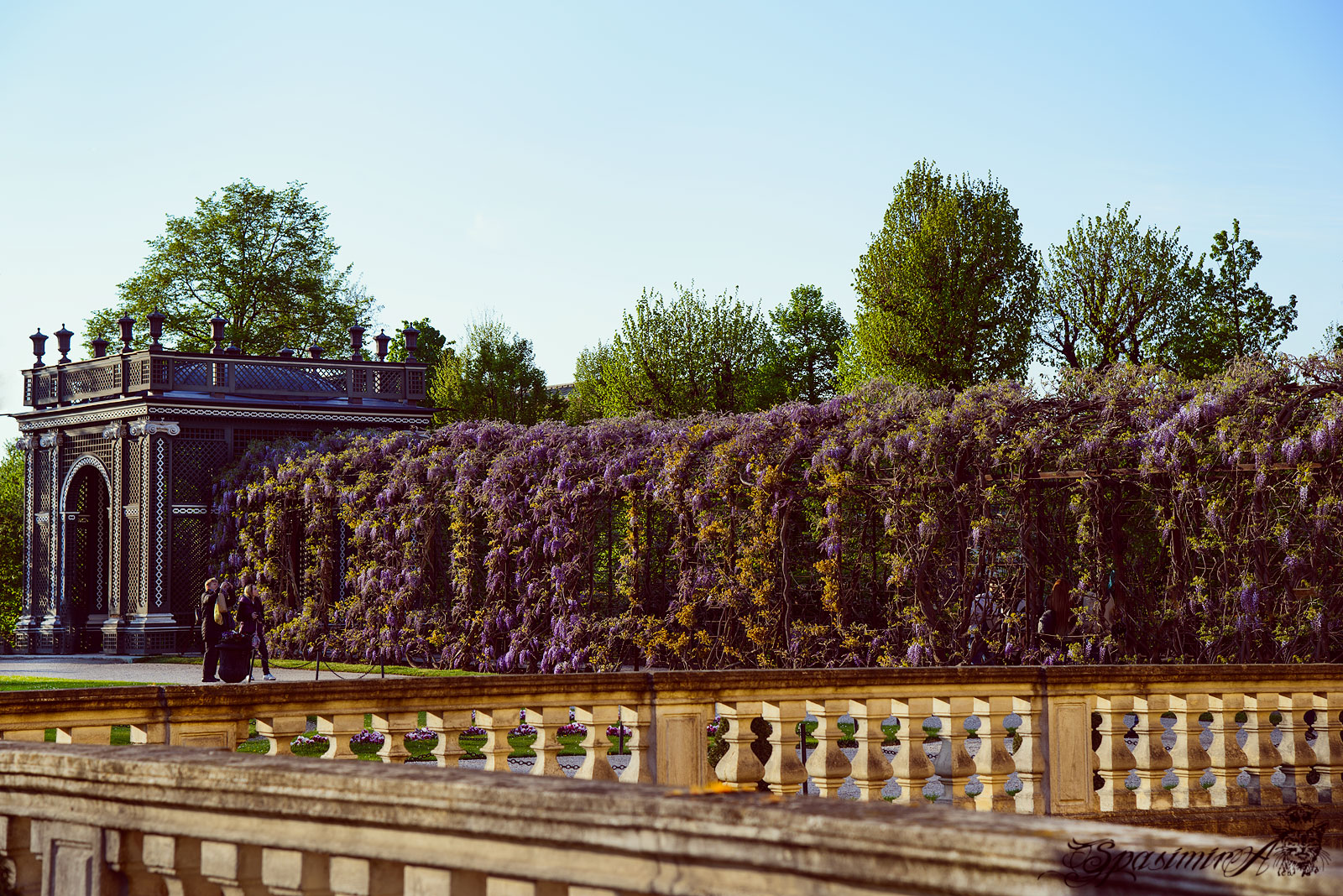 Image from CITIES album