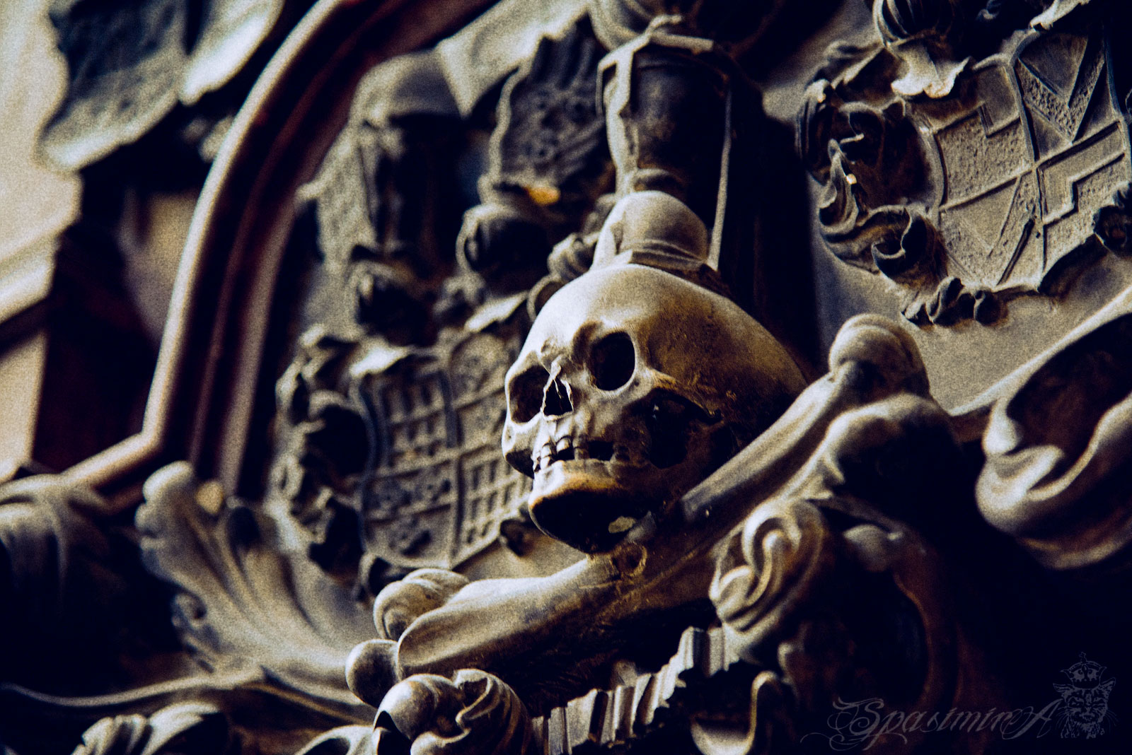 Image from WORLD album