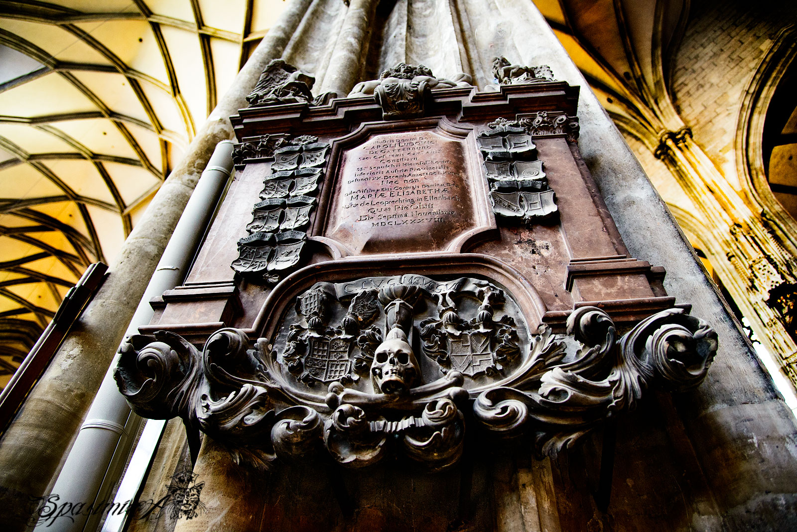 Image from WORLD album