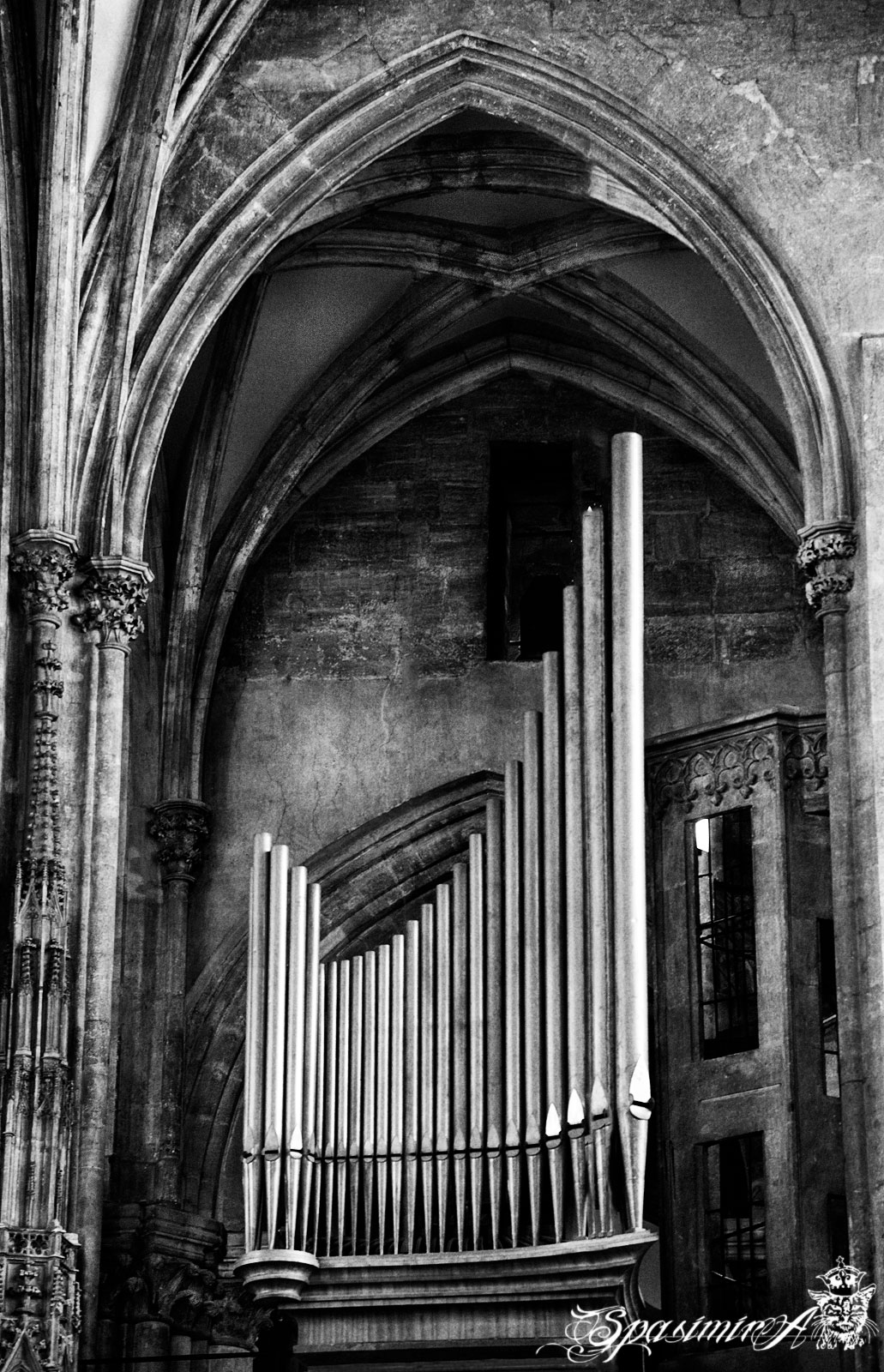 Image from WORLD album