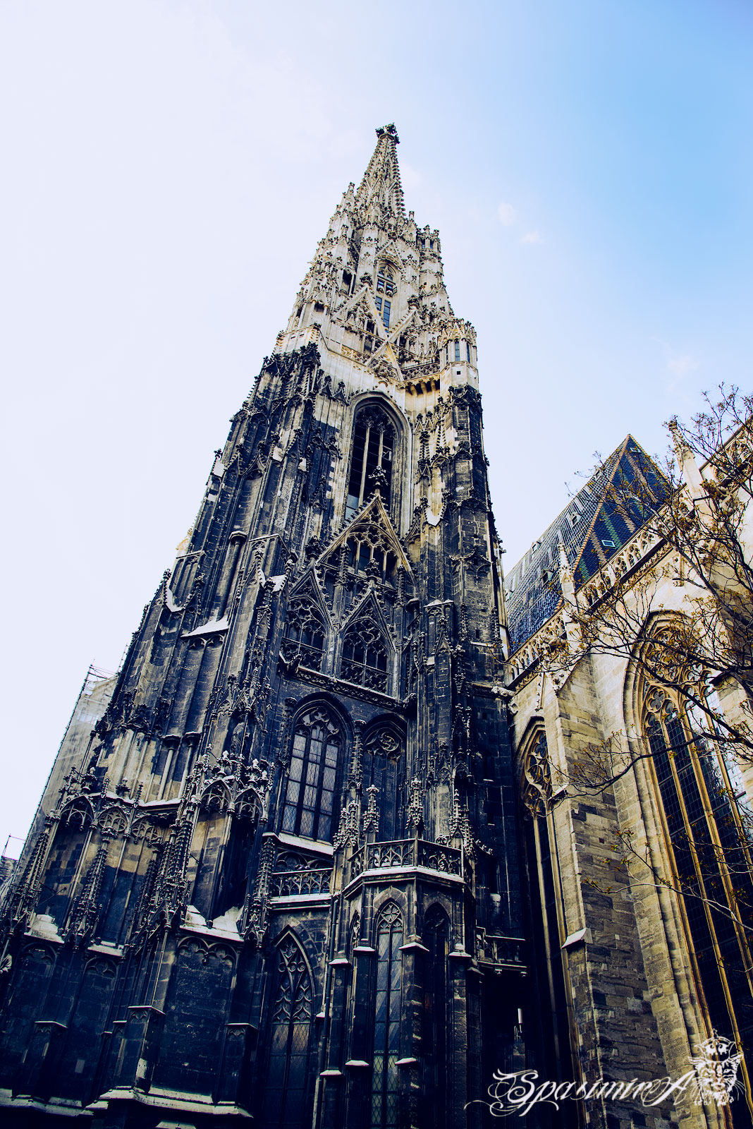 Image from CITIES album