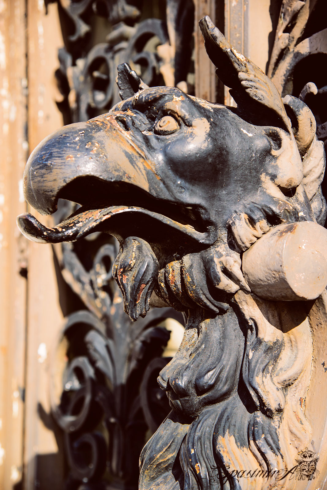 Image from STILL-LIFE album