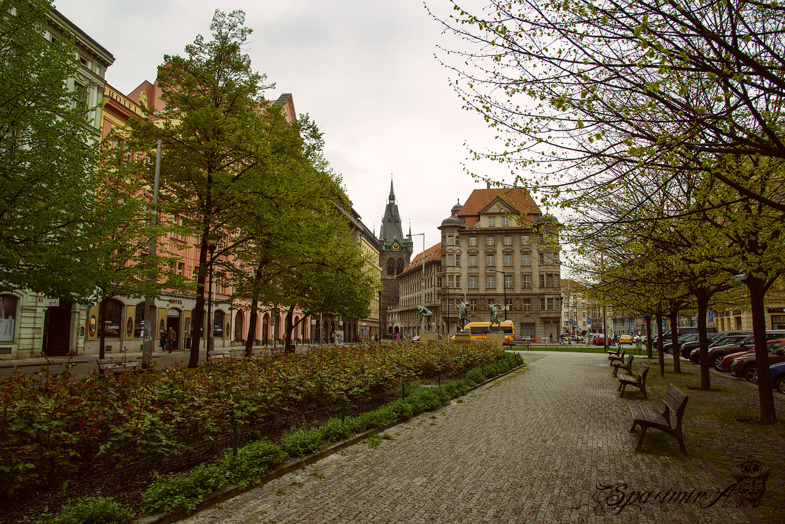 Image from CITIES album