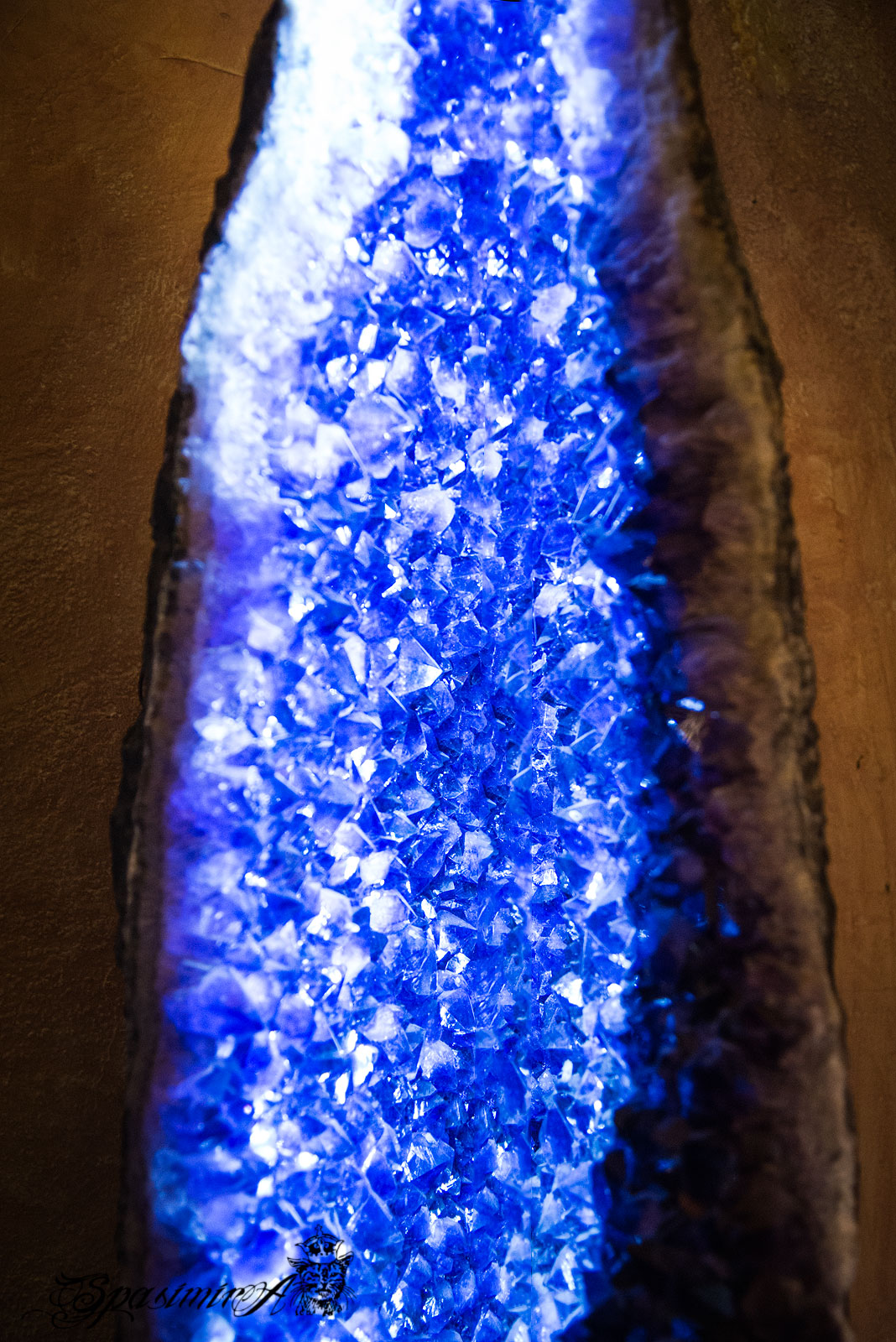 Image from STILL-LIFE album