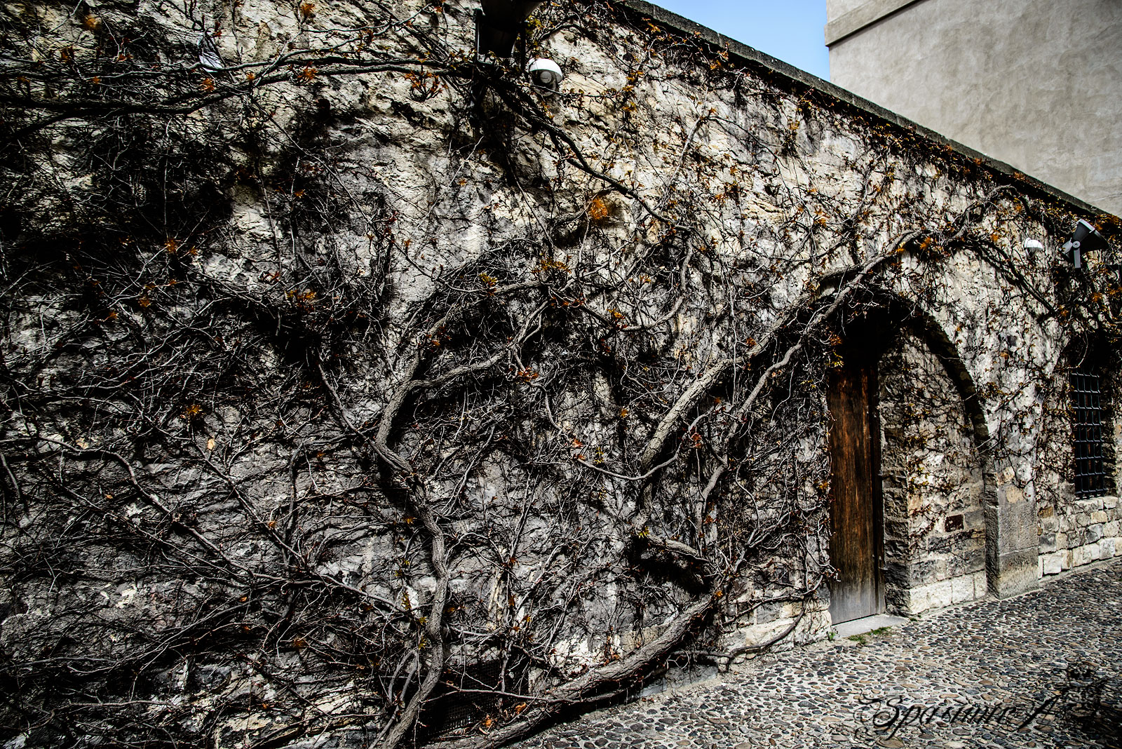 Image from CITIES album