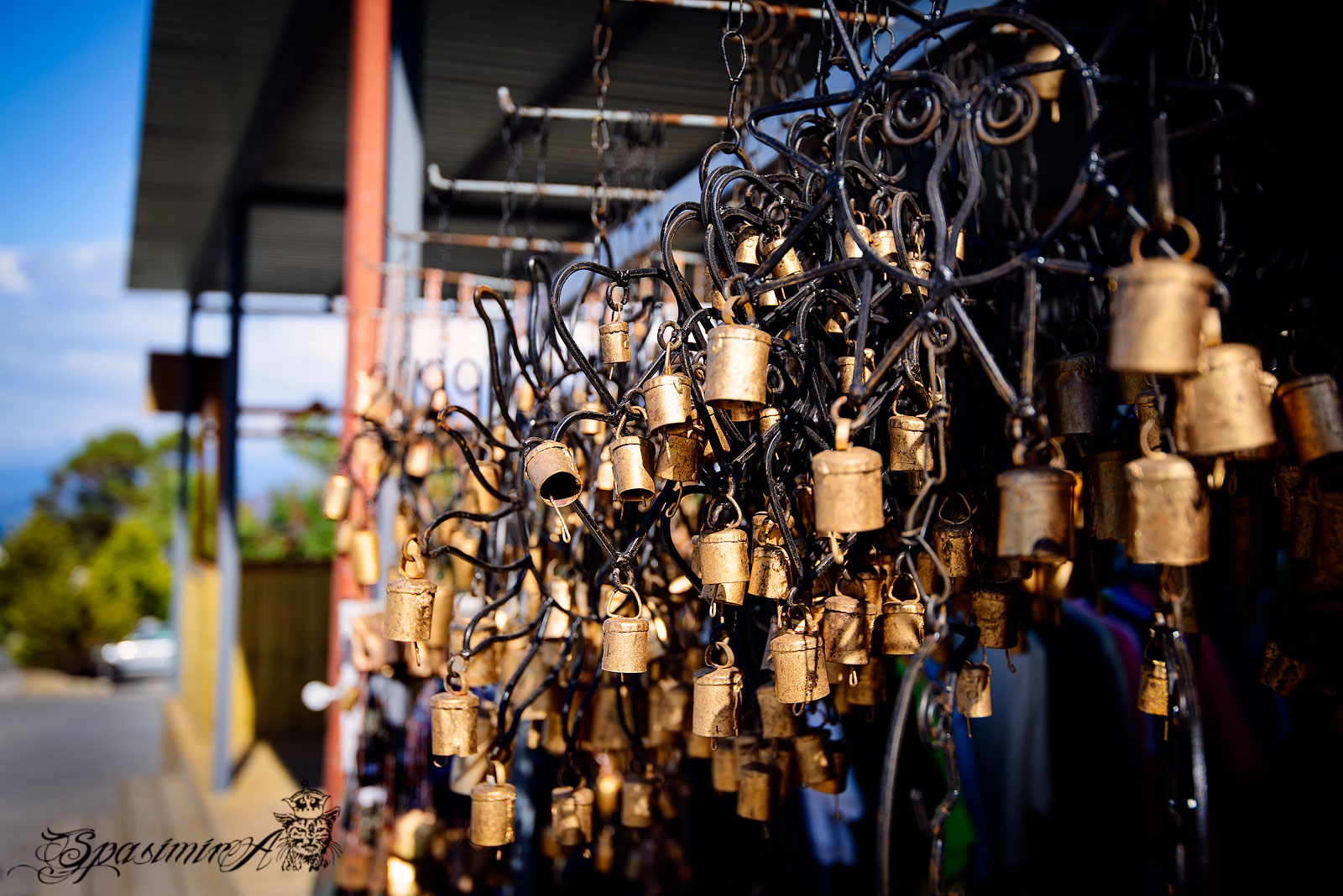 Image from STILL-LIFE album