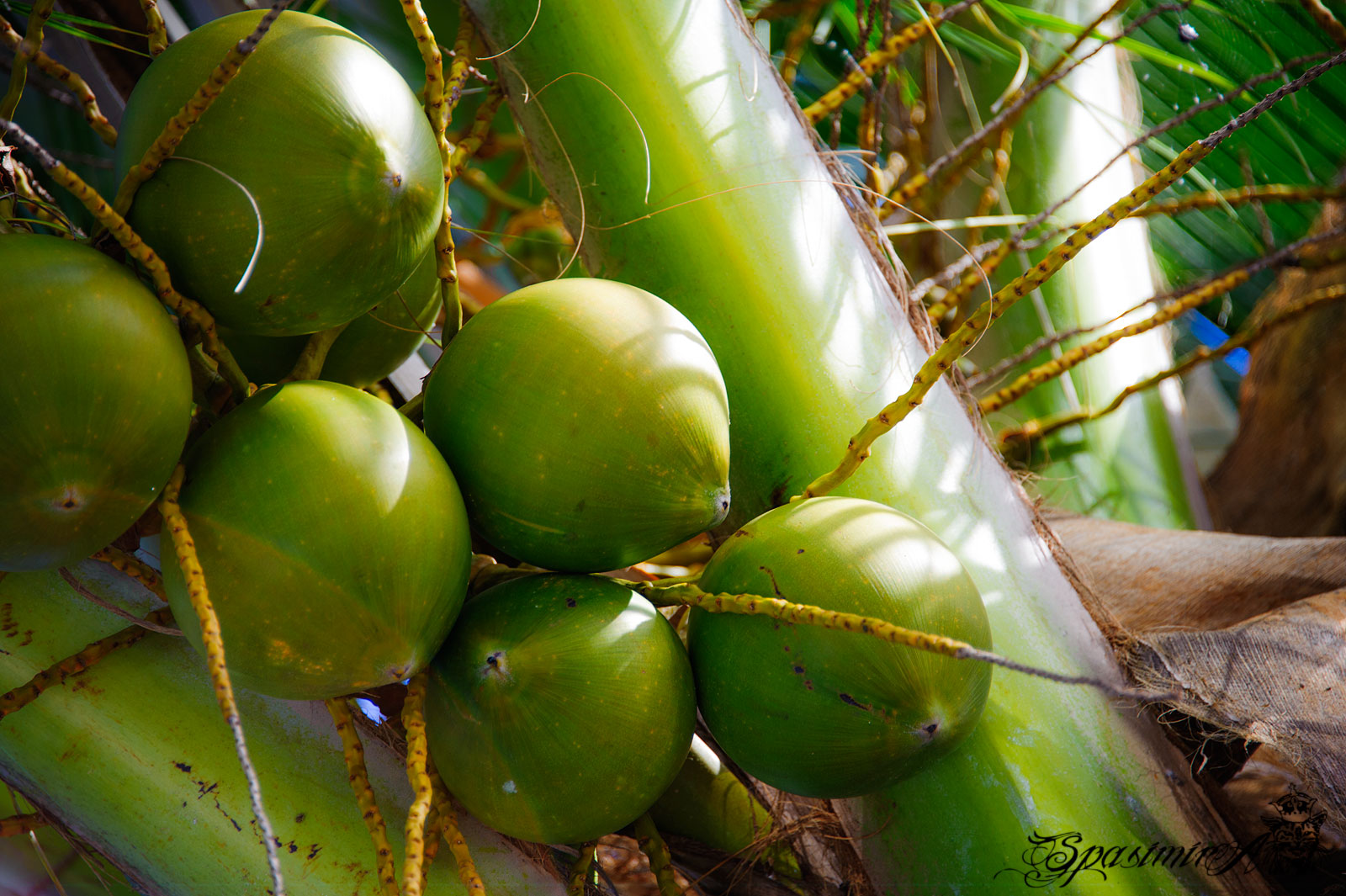 Image from WORLD album