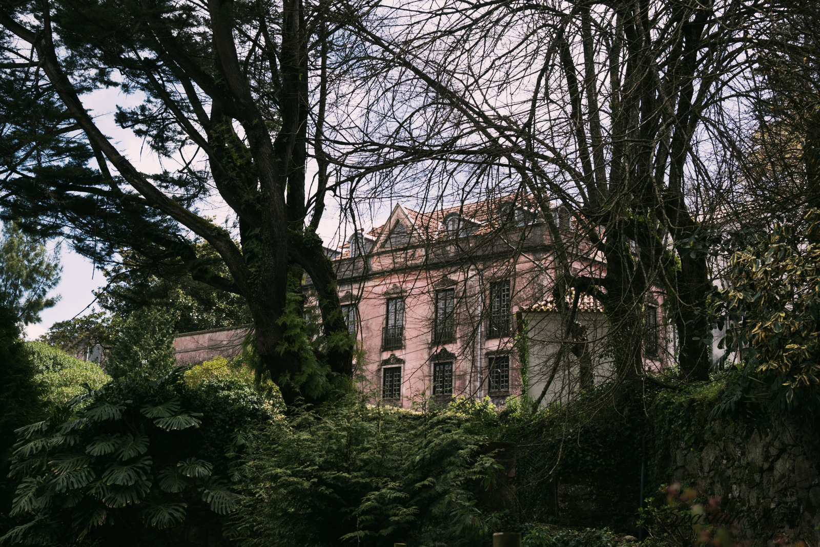 Image from CITIES album