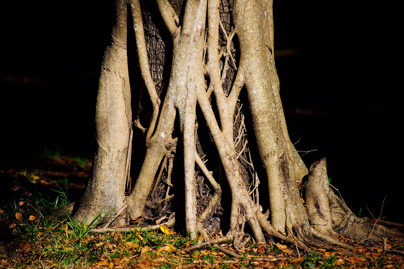 Image from WORLD album