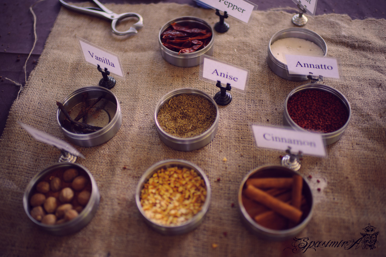 Image from STILL-LIFE album