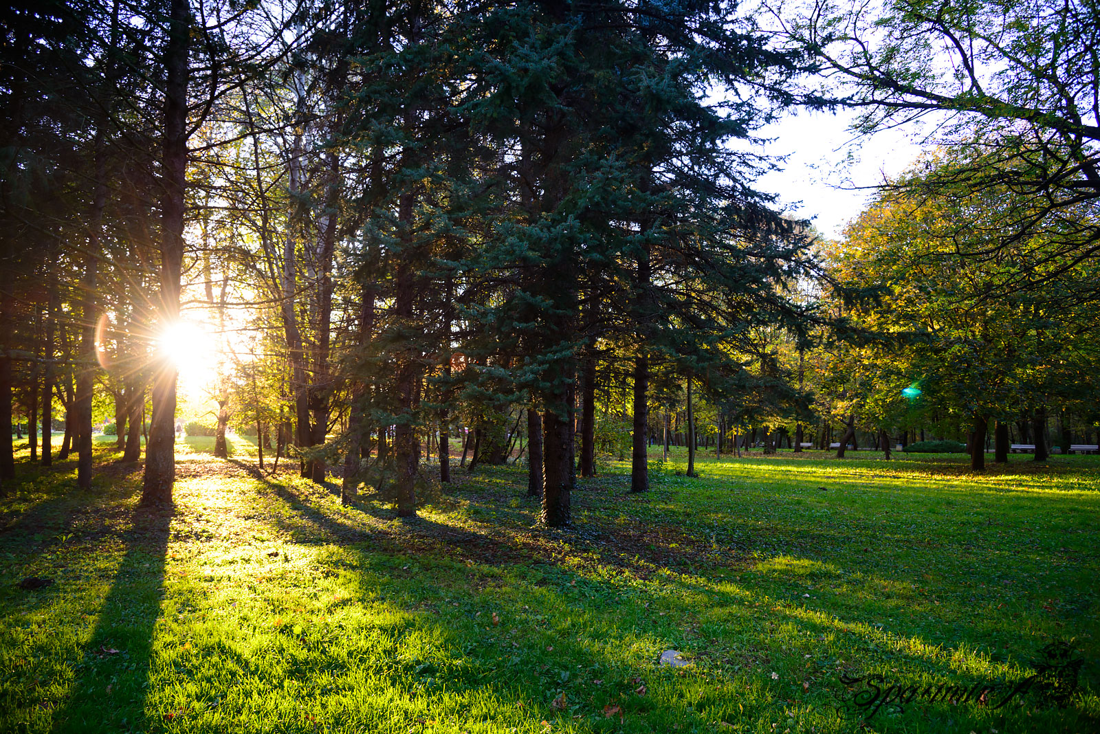 Image from WORLD album