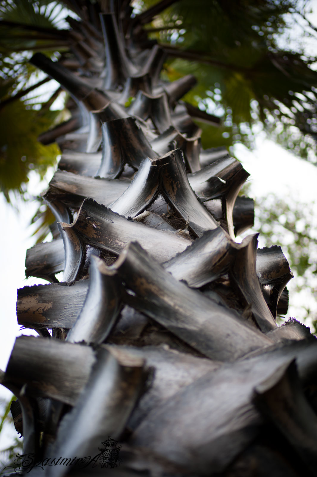 Image from WORLD album