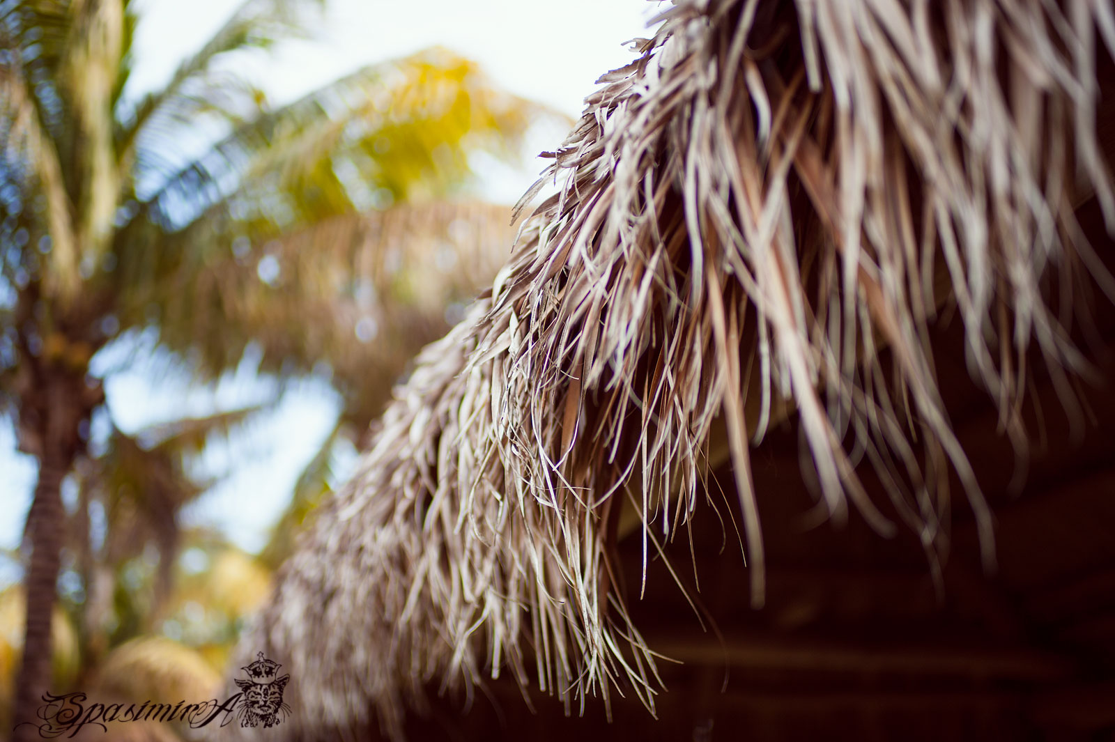 Image from WORLD album