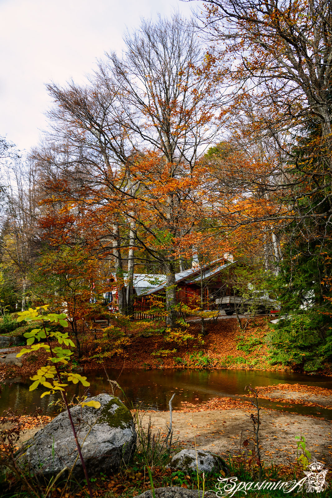 Image from CITIES album