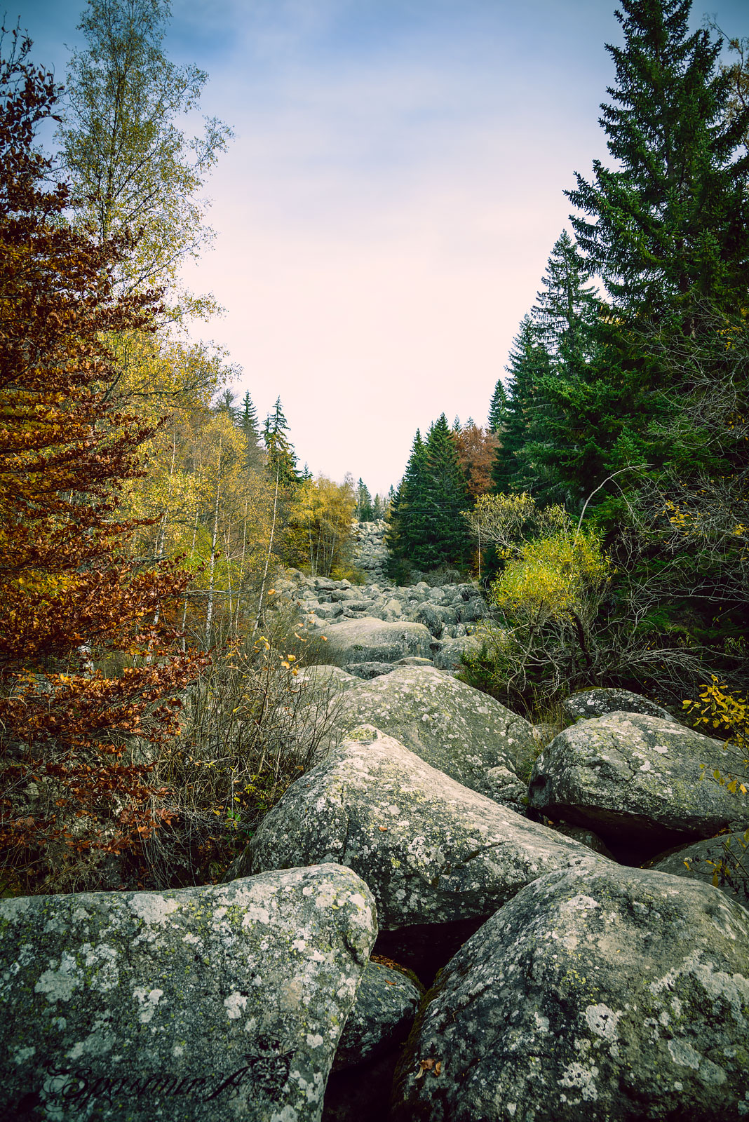 Image from WORLD album