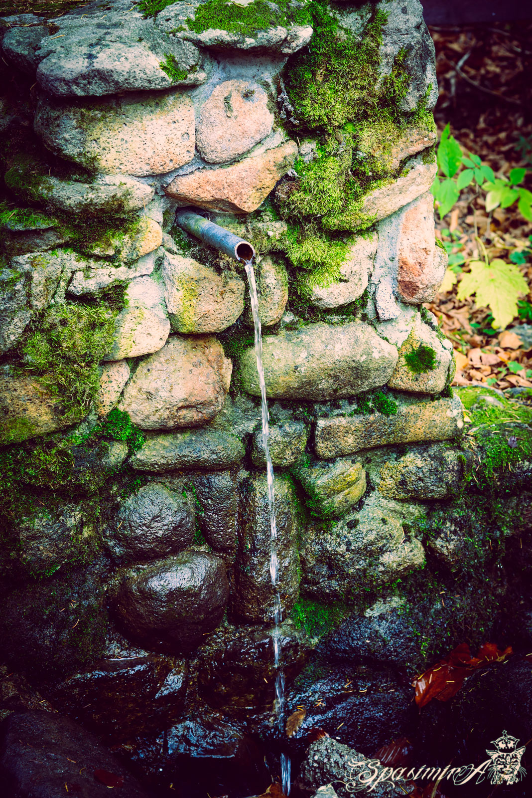 Image from WORLD album