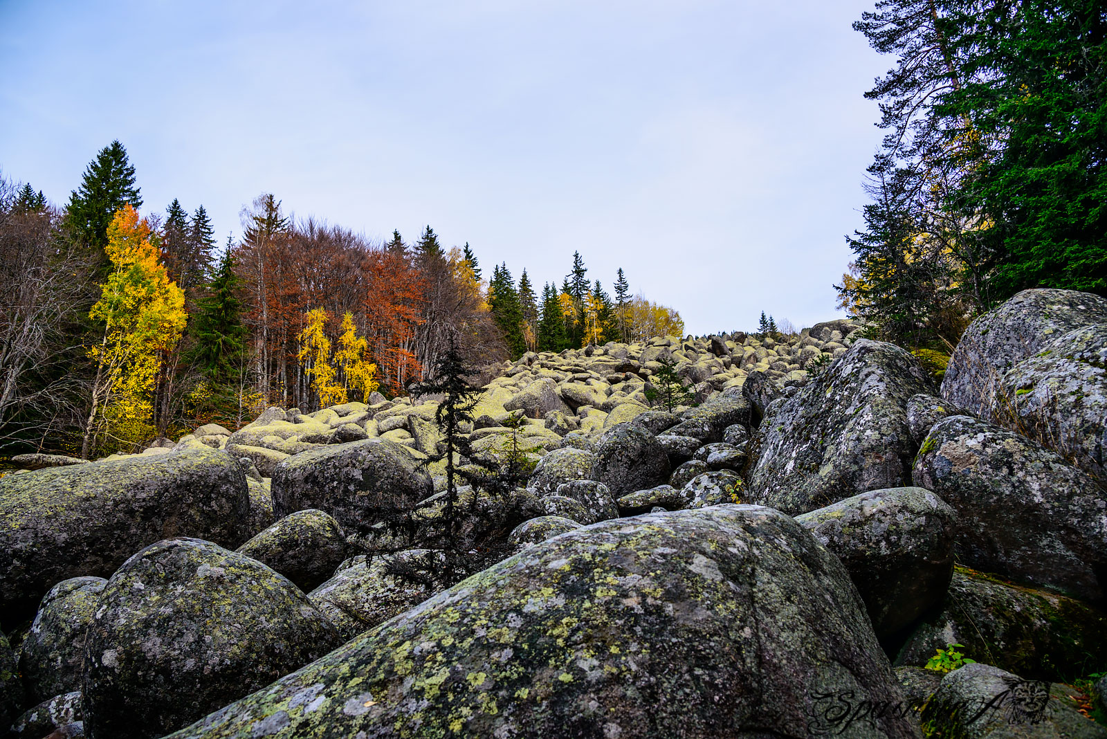 Image from WORLD album