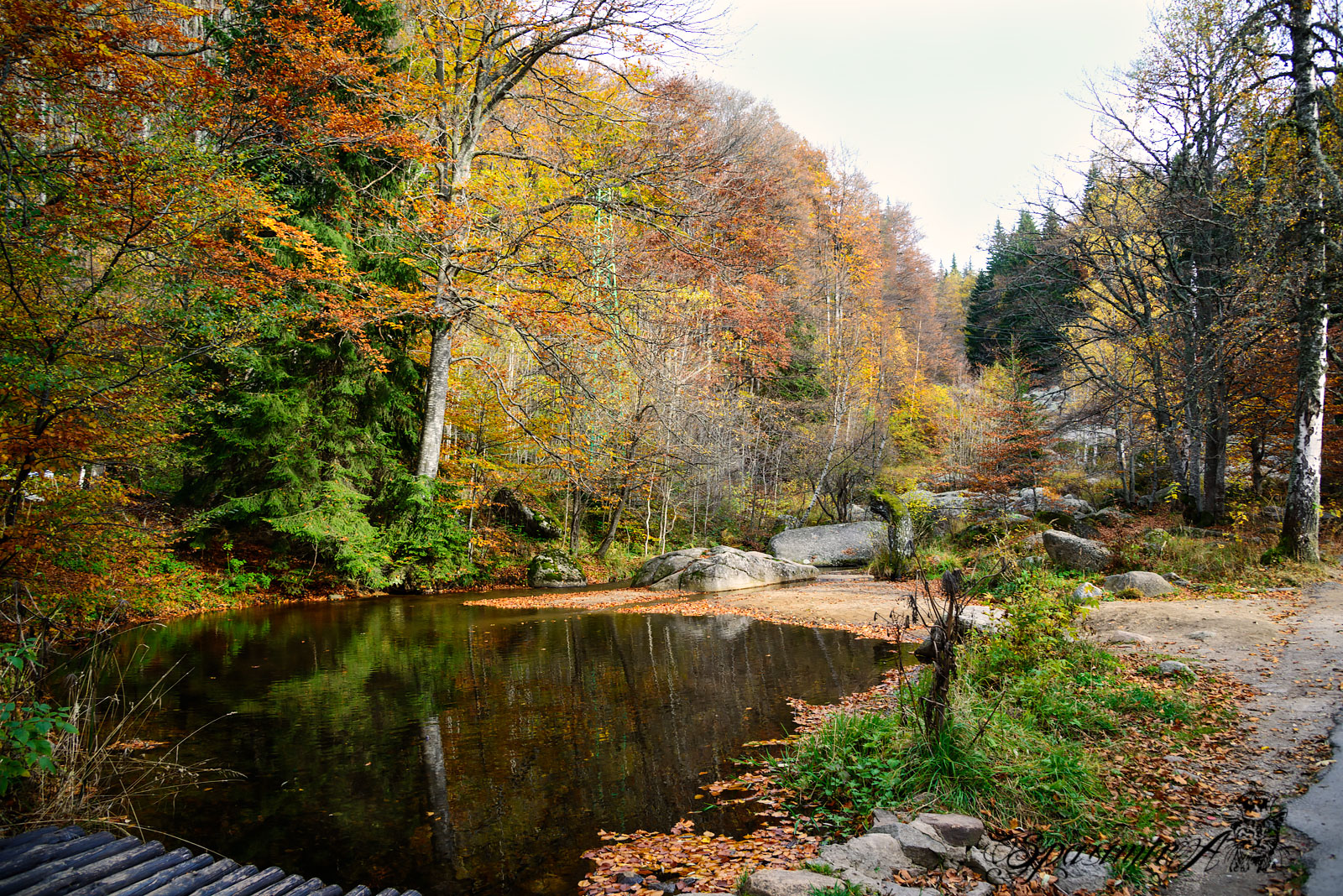 Image from WORLD album