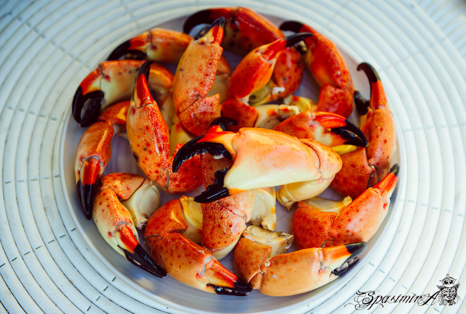 Image from STILL-LIFE album