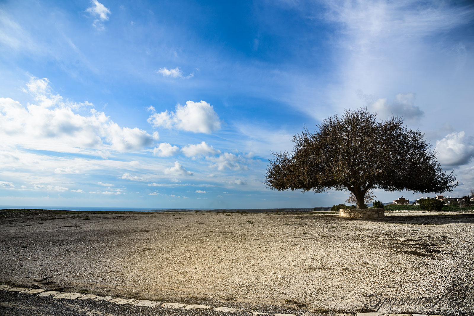 Image from WORLD album