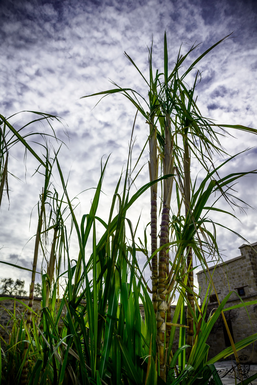 Image from WORLD album