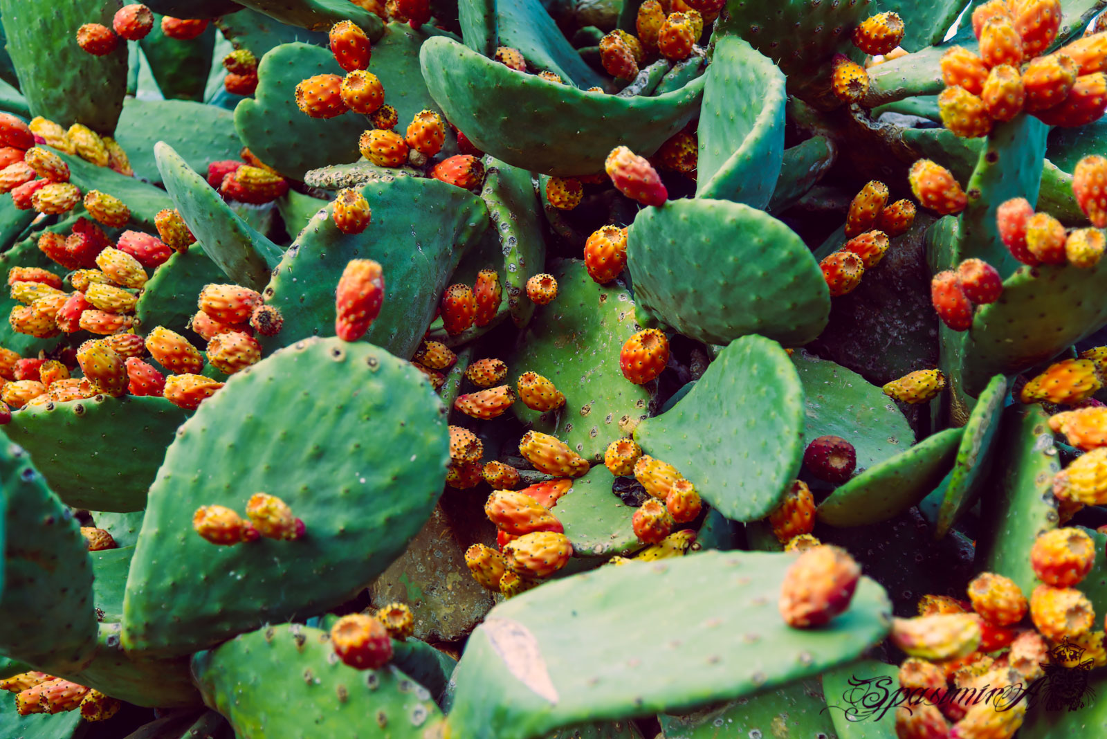 Image from WORLD album