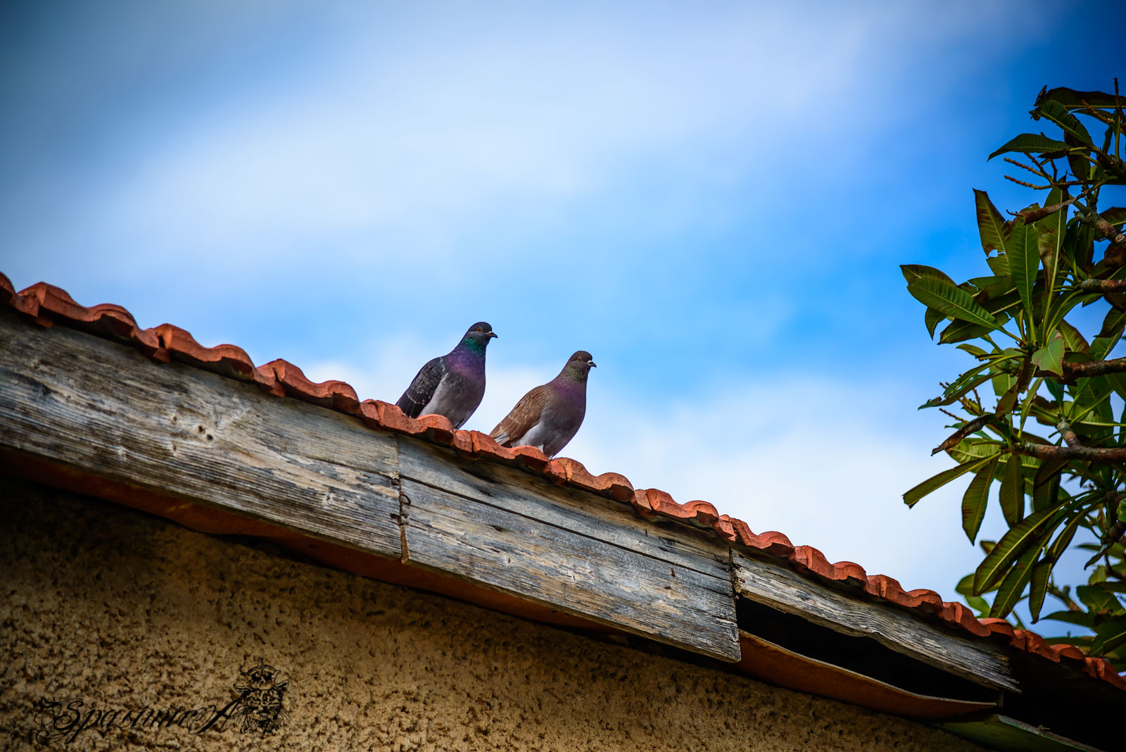 Image from CITIES album